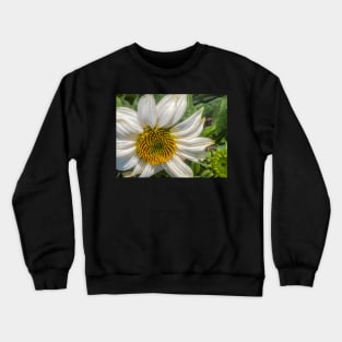 White Coneflower Newly Opened by Debra Martz Crewneck Sweatshirt